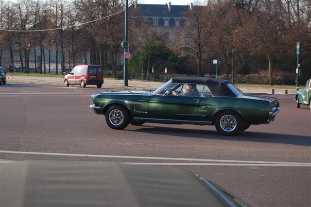 DSC_8831 (Small).JPG