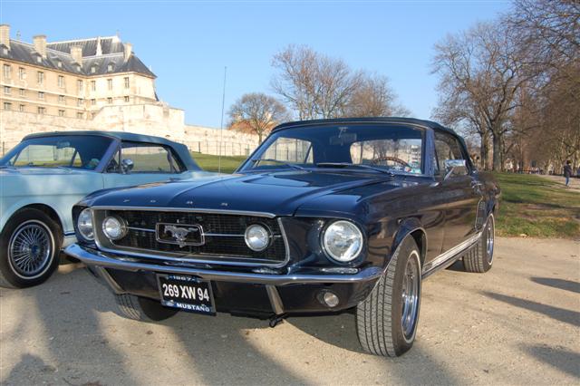 DSC_8841 (Small).JPG