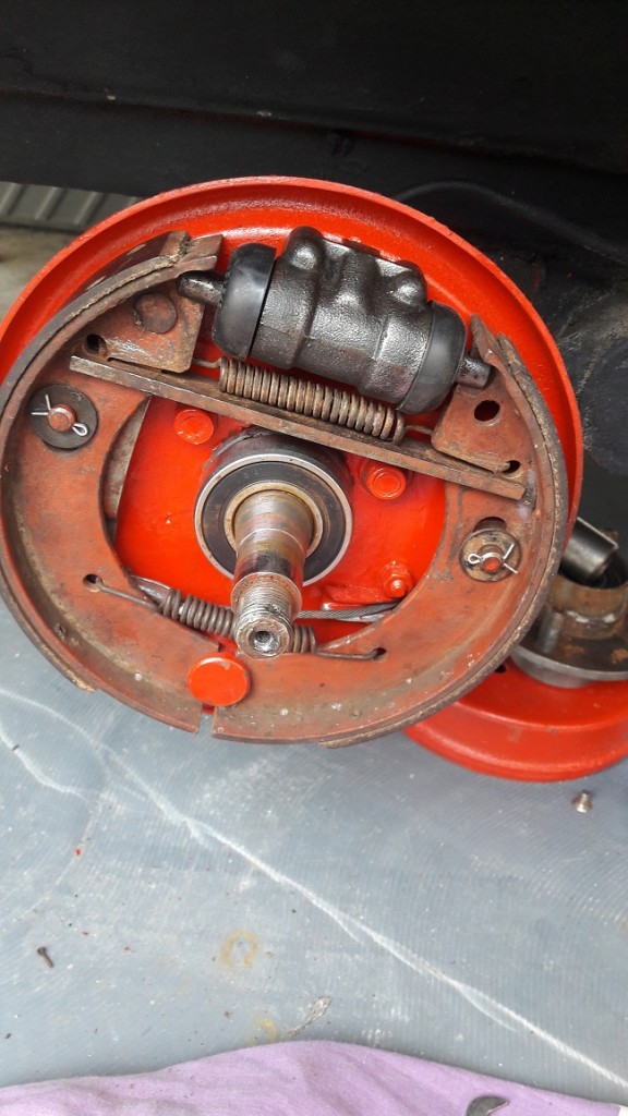 20190421_110541.jpg