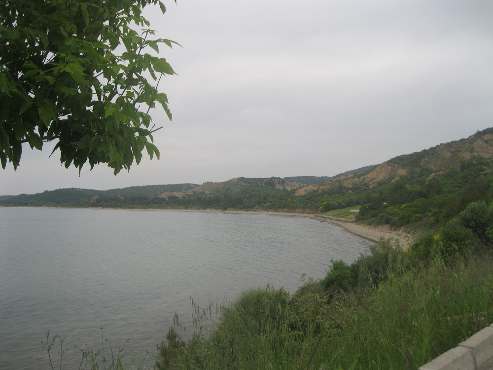 sIMG_7715.jpg