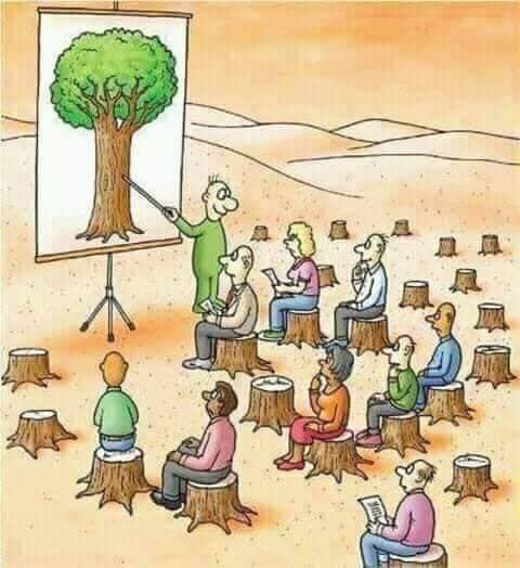 arbre4.jpg