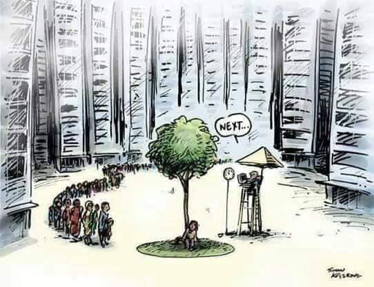 arbre5.jpg