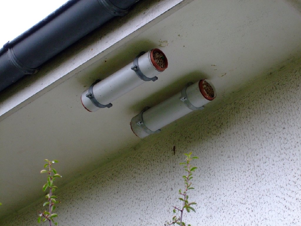 DSCF0030.jpg