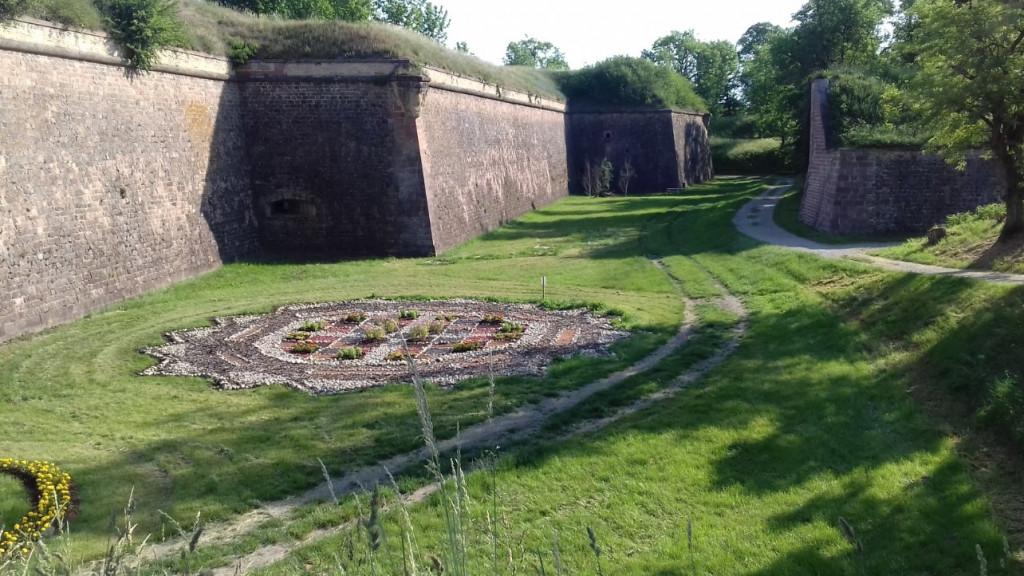 20190605_083604.jpg (280.38 Kio) Vu 11956 fois Camping "Le Vauban" Neuf-Brisach (68) Acsi