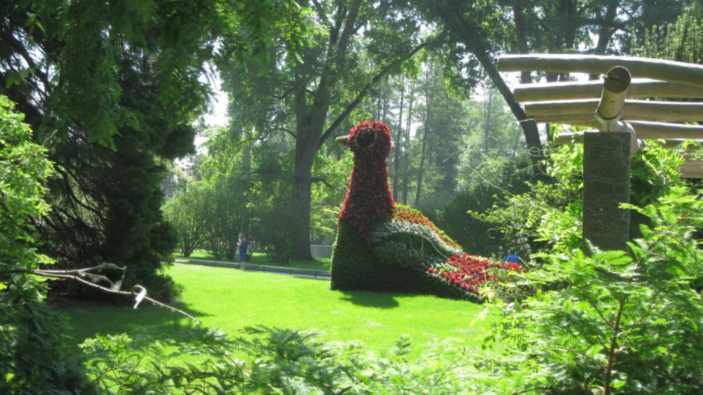 IMG_4856.JPG (298.34 Kio) Vu 11958 fois Ile de Mainau : Un parc floral magnifique