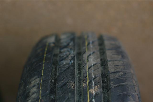 DSC_9163 (Small).JPG
