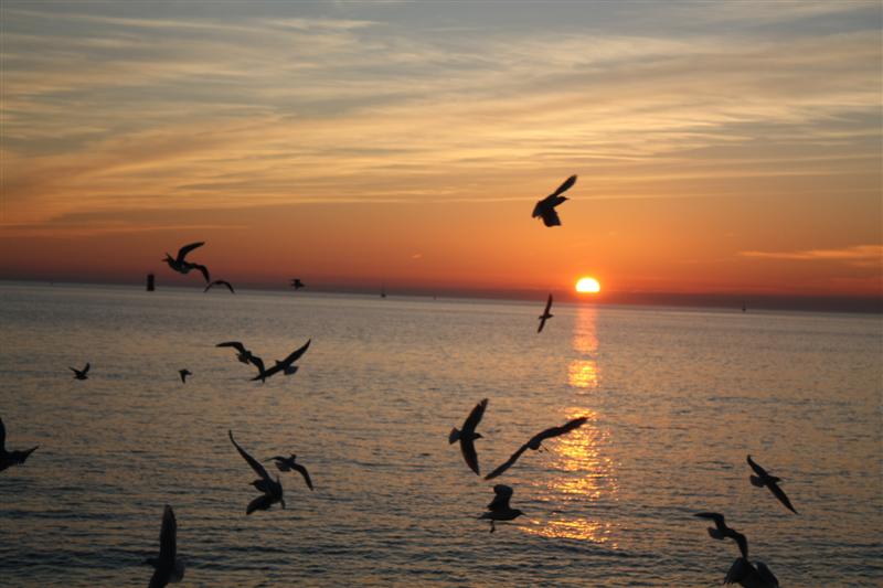 Prise de vue depuis la petite plage de La Rochelle. Avec C....EOS 450 D