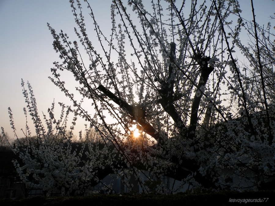 le soleil ce couche.......