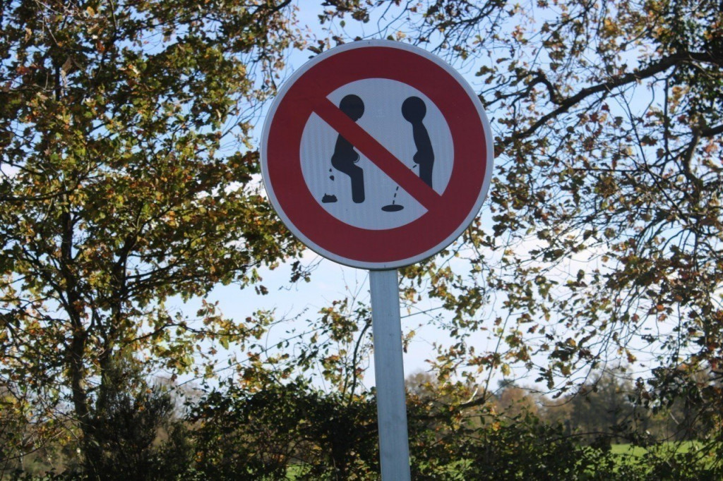 img-4356.jpg