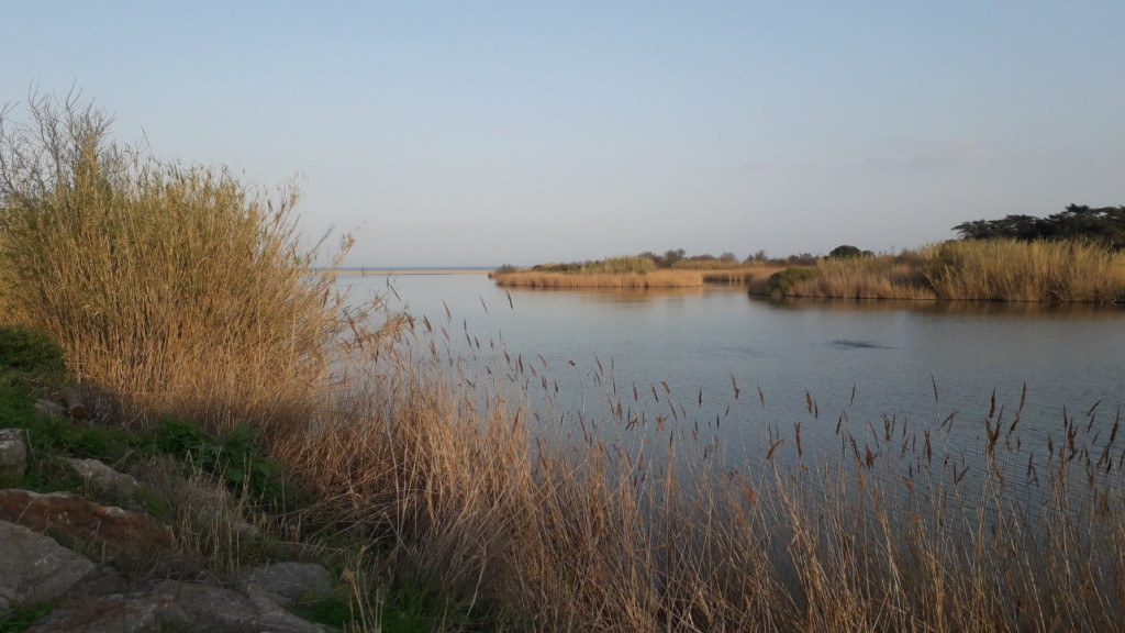 20210305_173358.jpg