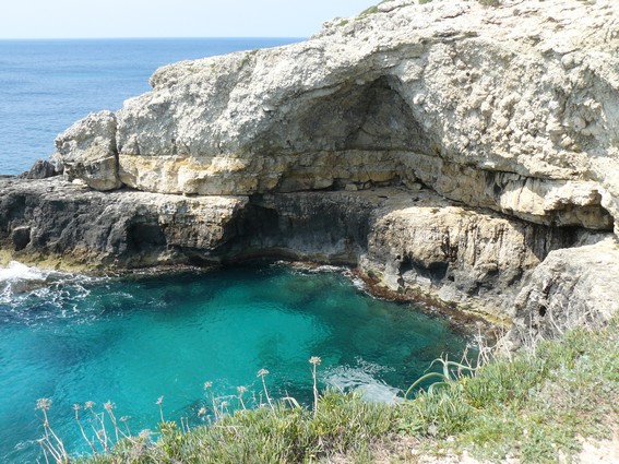 leuca.jpg