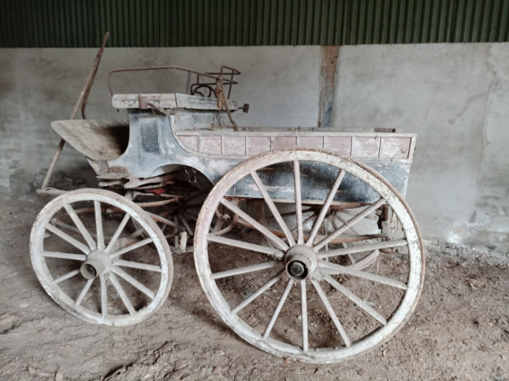 IMG_20210326_095028 (1).jpg