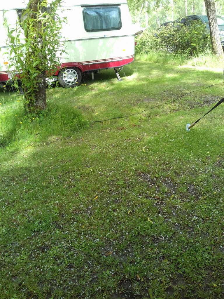 20210524_173856.jpg