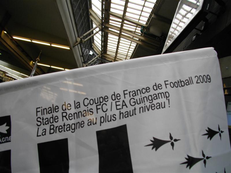 vive Guingamp (Medium).JPG