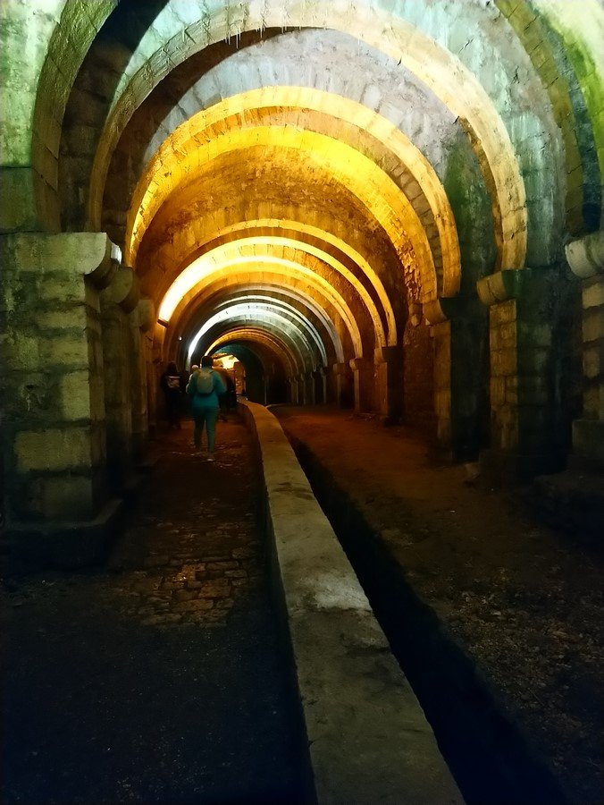 DSC_0418 (Copier).JPG