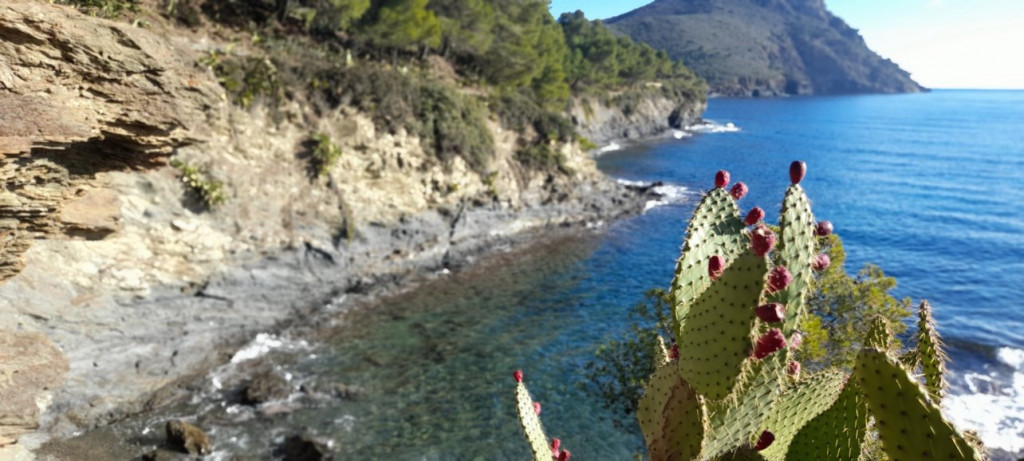 GR 92 13 janvier (3).jpg