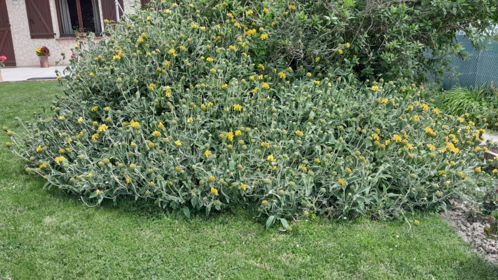 20230521_130436.jpg