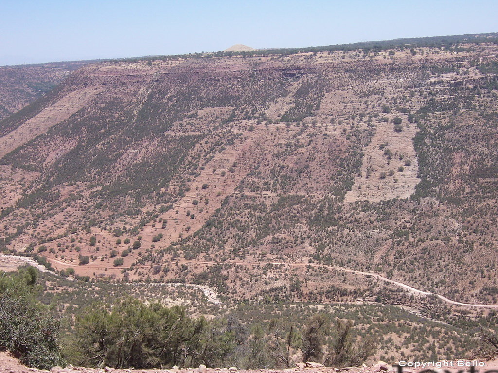 Route d'Ait aoud(capitale du miel)