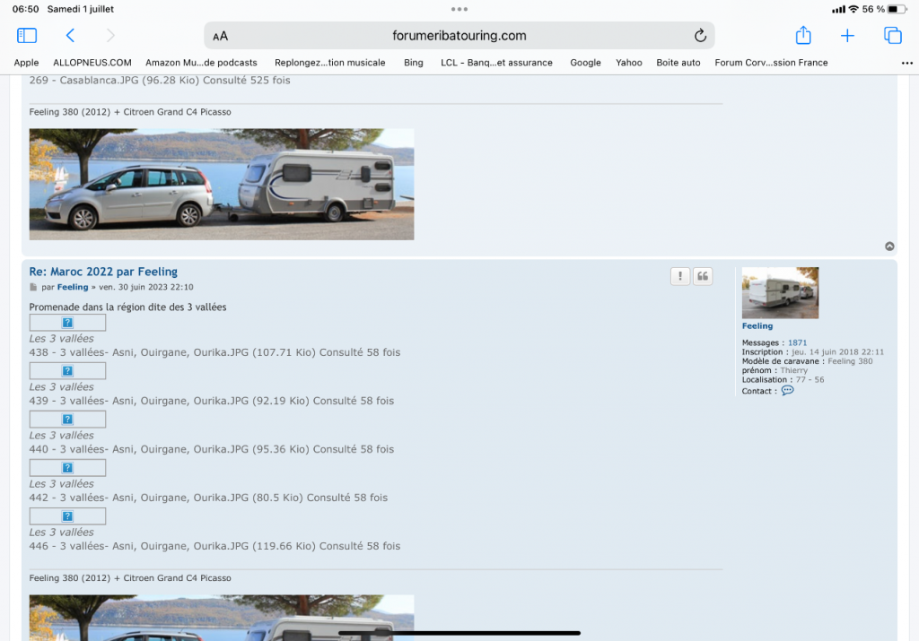 IMG_3993.png