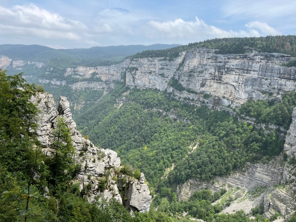 755D377B-1C20-4F09-951F-C236B318CA8D.jpeg