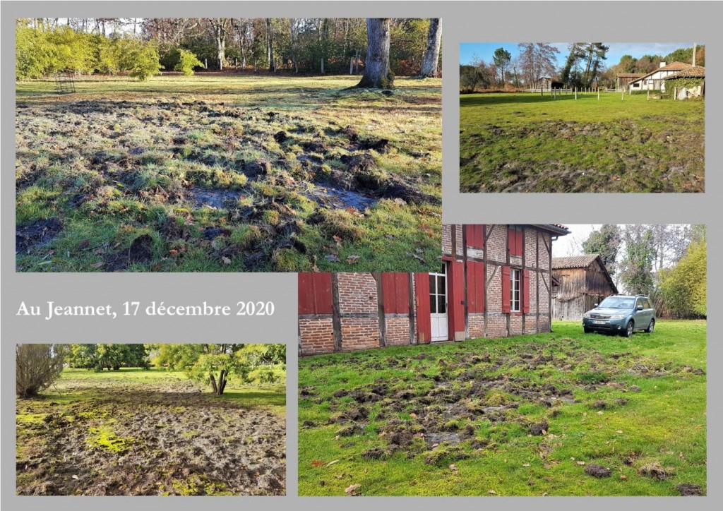 quelques traces ...jpg