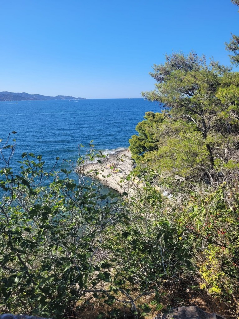 IMG_0294.jpeg