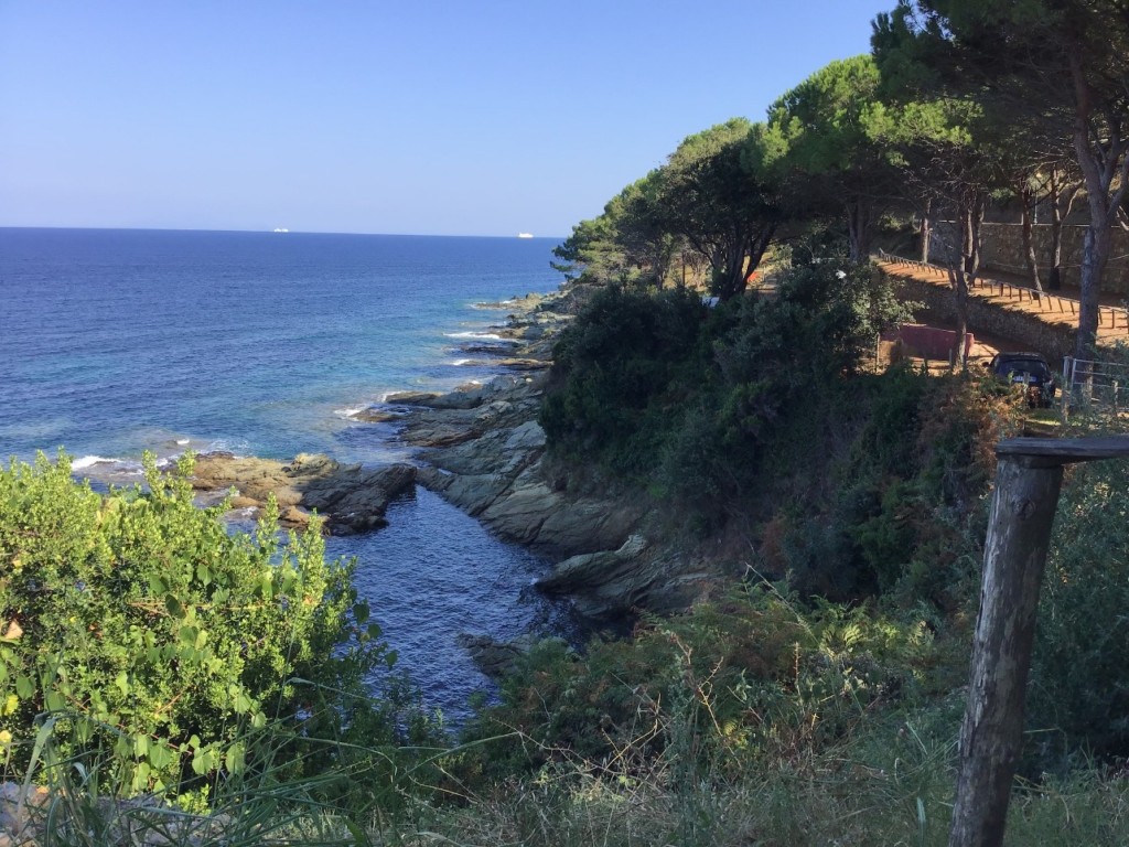 IMG_0299.jpeg