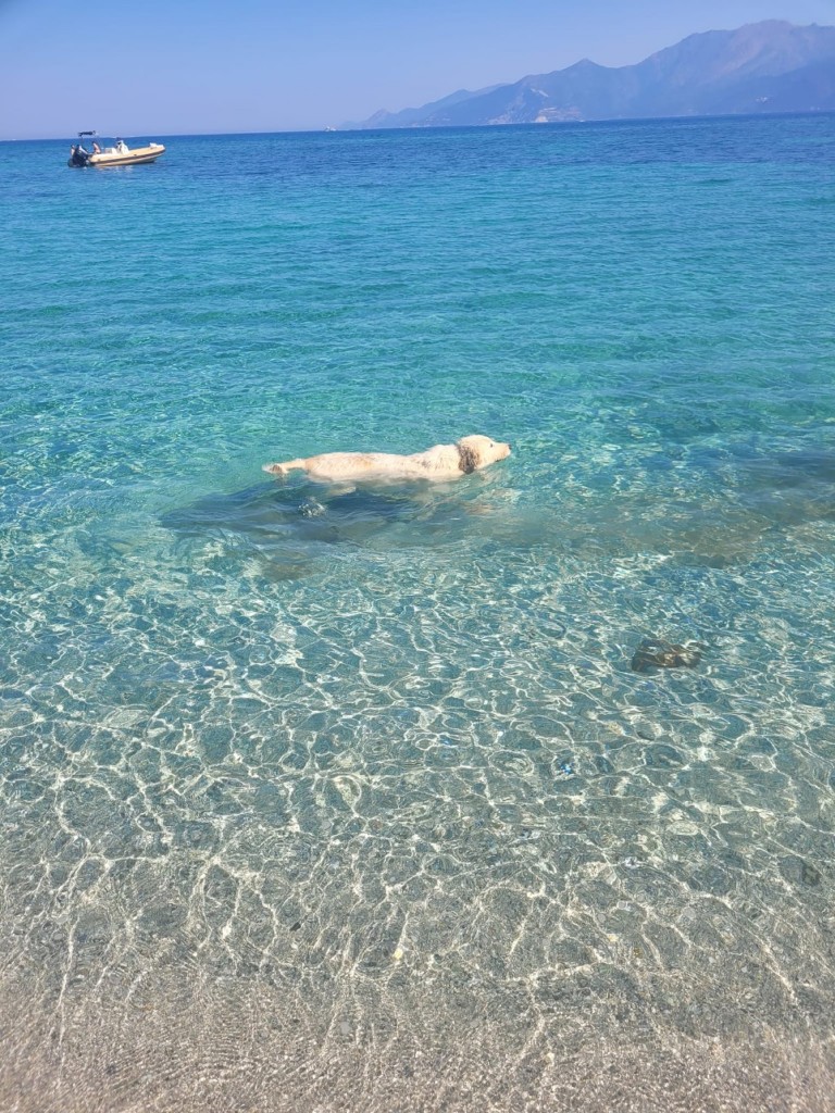 IMG_0328.jpeg