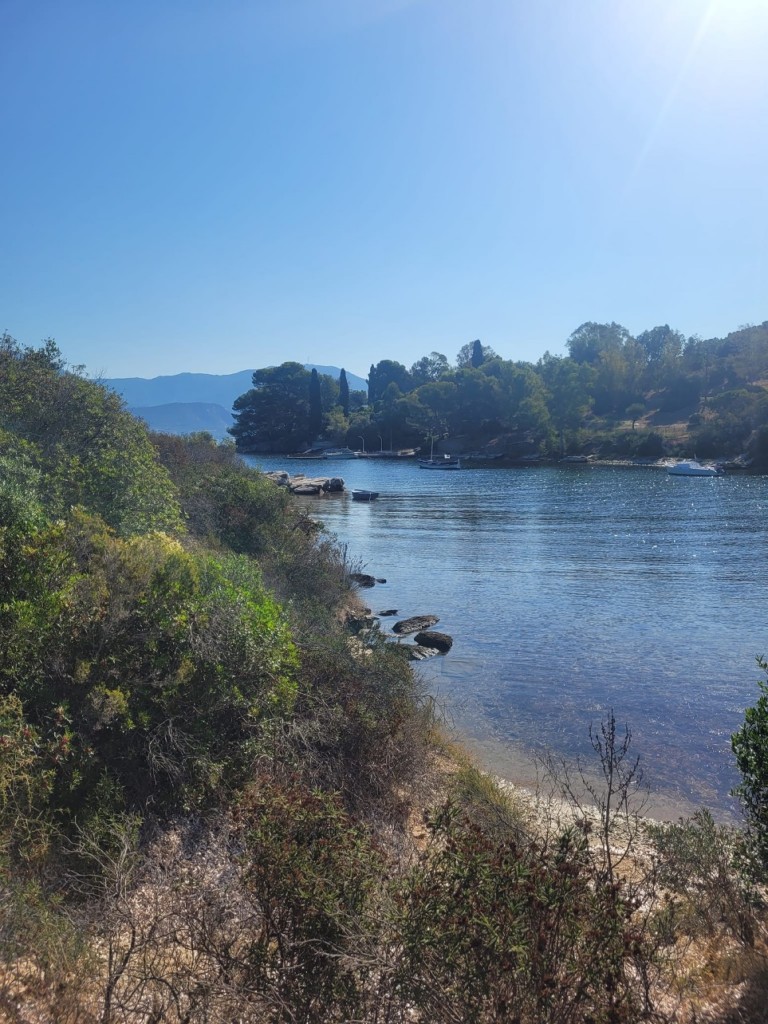 IMG_0321.jpeg
