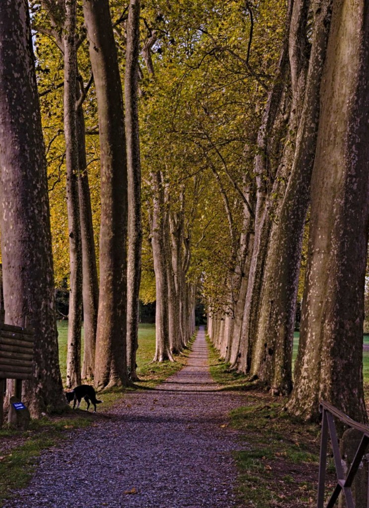La Rigole 21.jpg