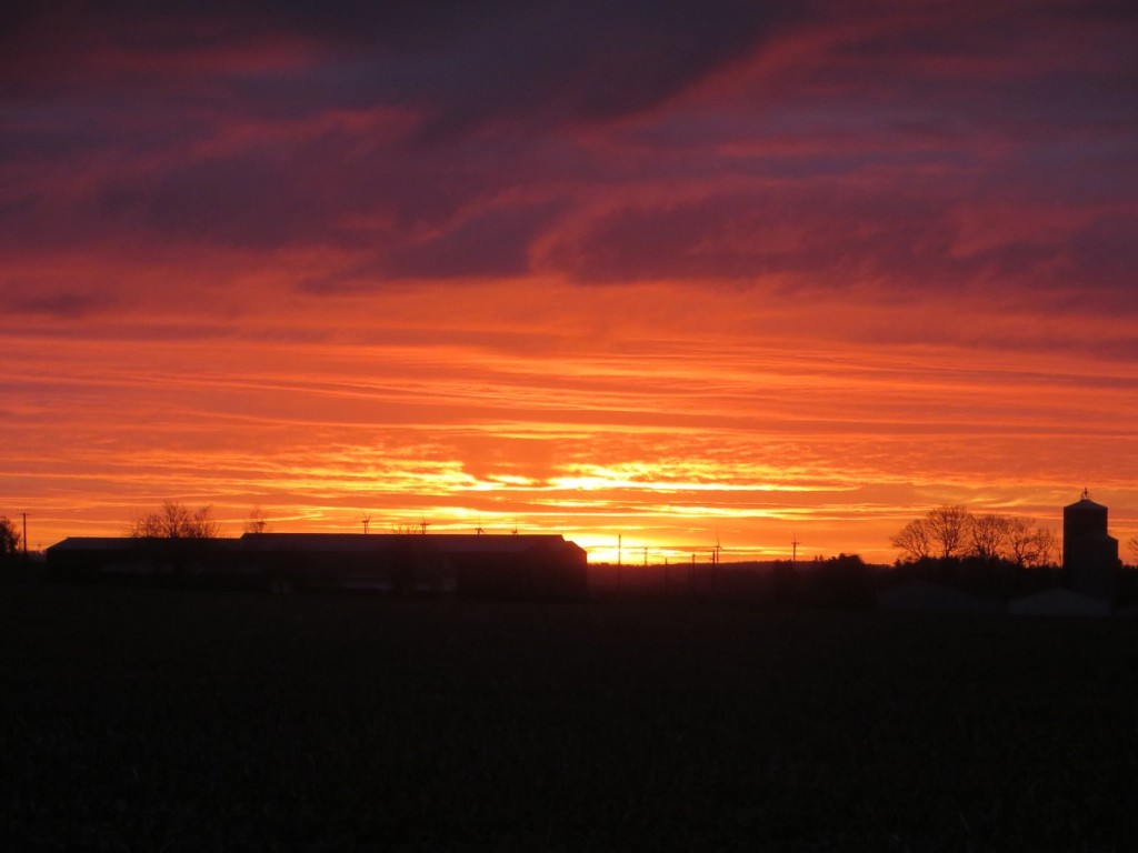 Lever de soleil.JPG