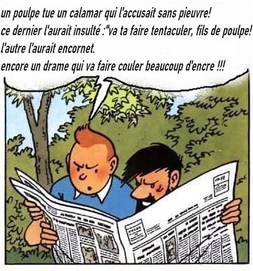 IMG_6315.jpeg
