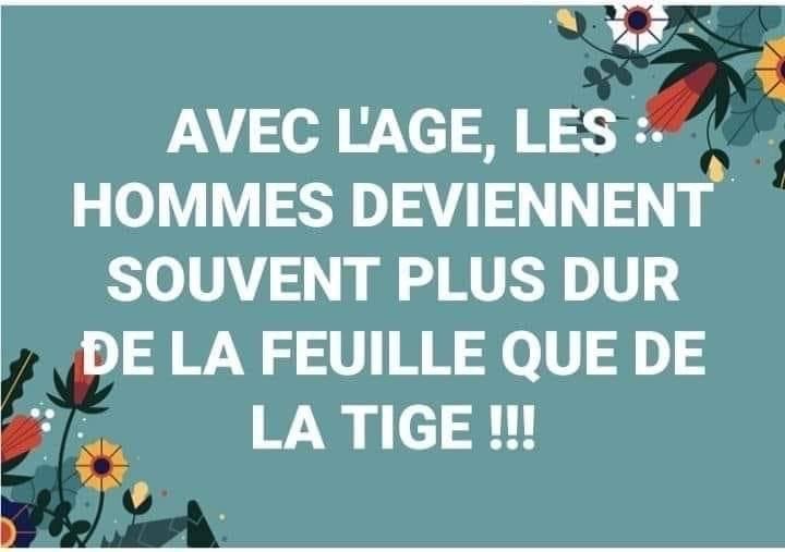 Tige.jpeg