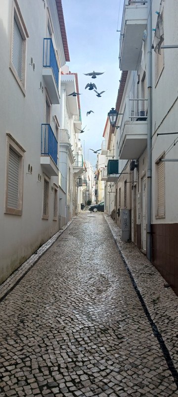 20231105-125131-Copie.jpg