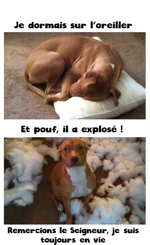 IMG_7018.png