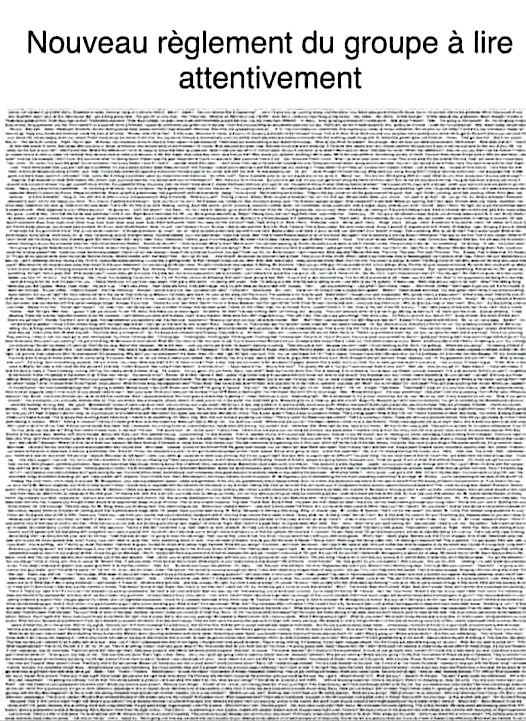 436221965_838874654948196_8556999403131141419_n.jpg