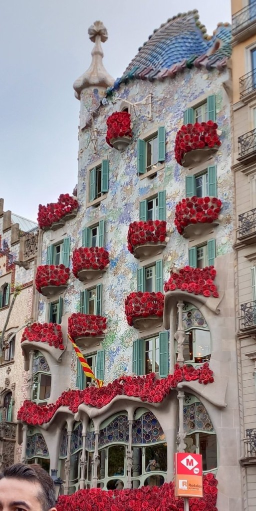 20240423_232300.jpg