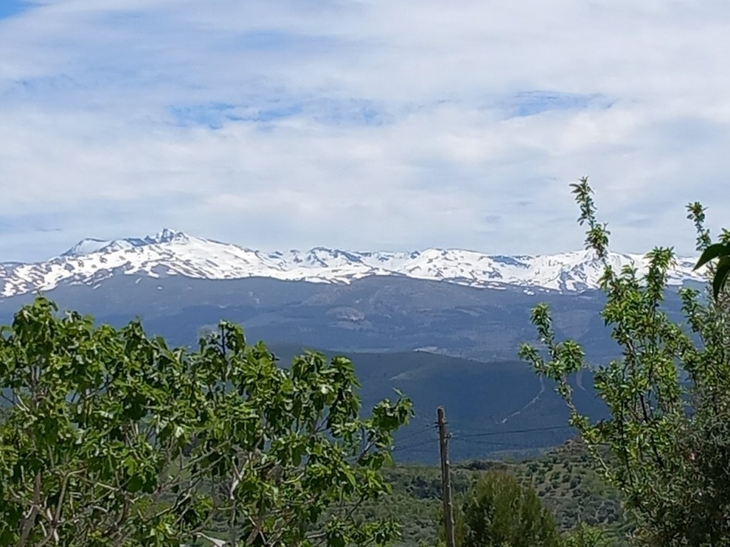 20240508_145729.jpg