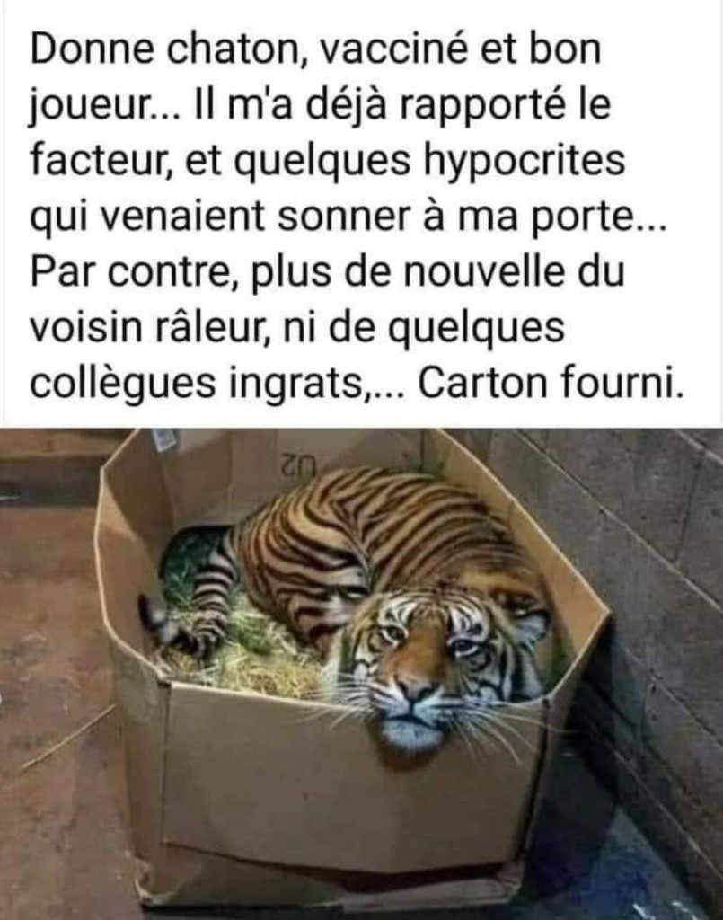 Pour garder la caravane.