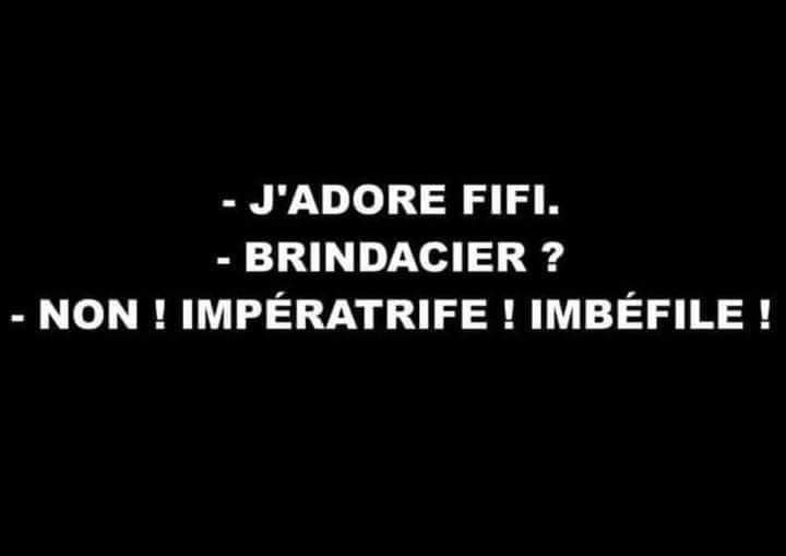IMG_7512.jpeg