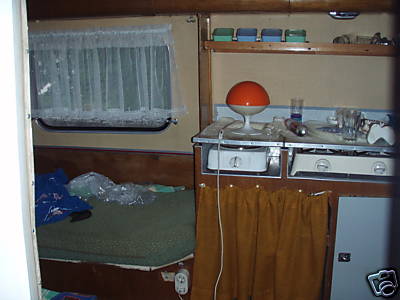 Faun58_5.JPG