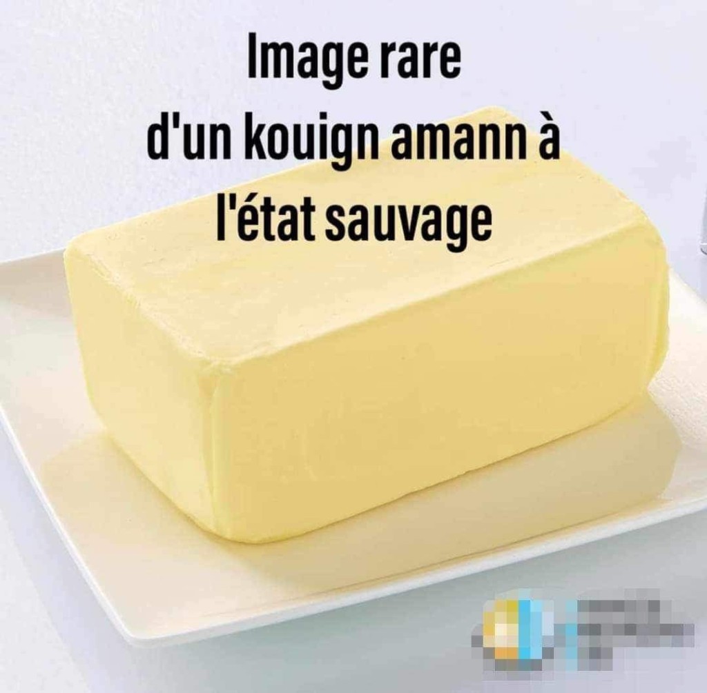 IMG_7963.jpeg