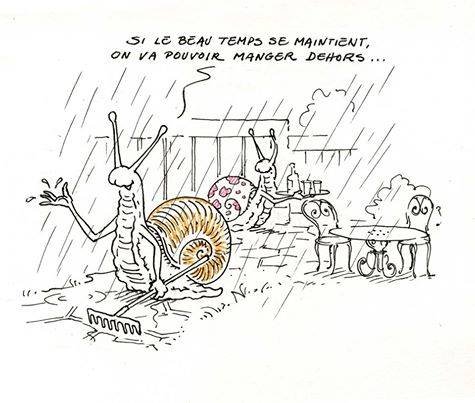 Beau temps.jpg