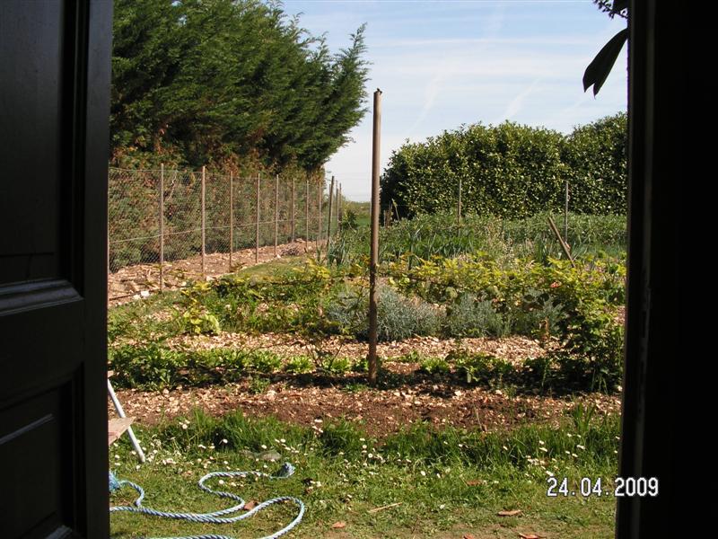 Vue sur le garden et l'enclos des poules à gauche. Quel bonheur "le plein air" tous les matins