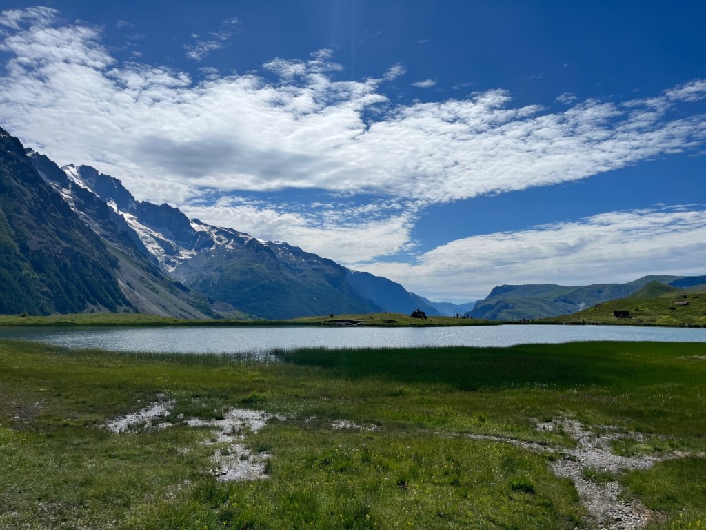 D5F946A8-6412-4153-9E68-55F363045794.jpeg