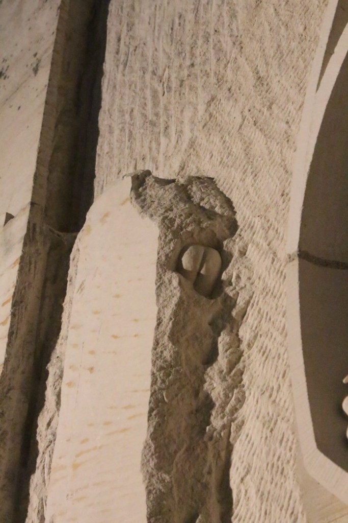 IMG_7410.JPG