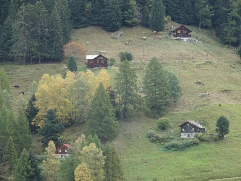 DSC04974.JPG