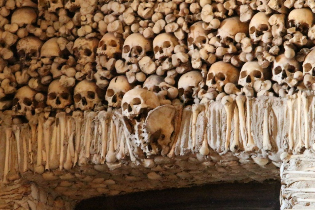 IMG_8106 (Copier).JPG