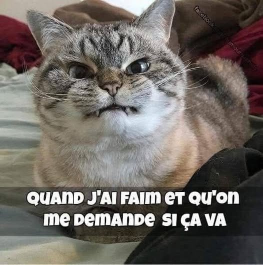 469350892_611702898101528_5899397220606465558_n.jpg
