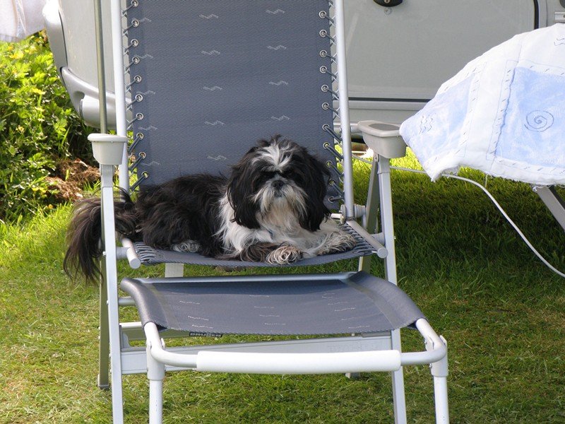 La Gardienne du troupeau, pour toi, MARCEL !